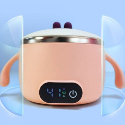 Bol en Acier Inoxydable à Température Constante